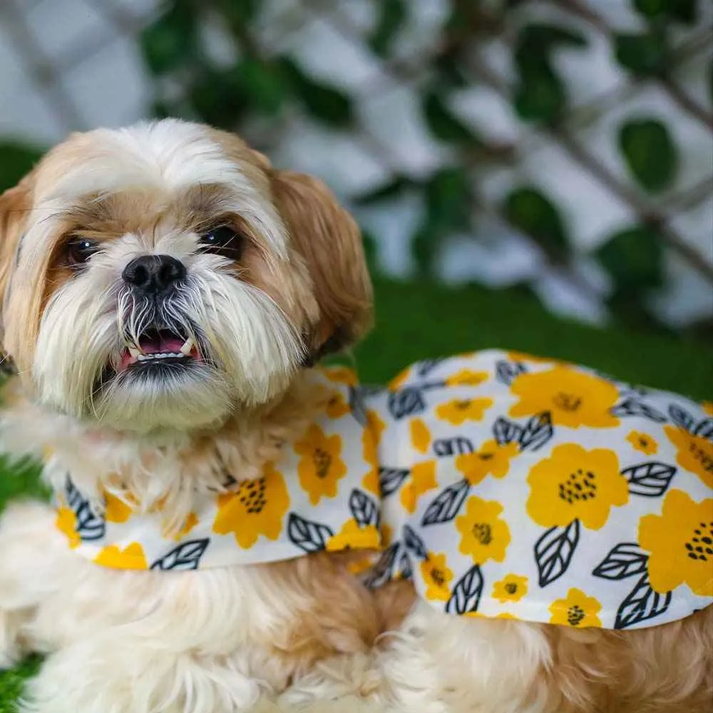 Pawshic Yellow Floral Dress